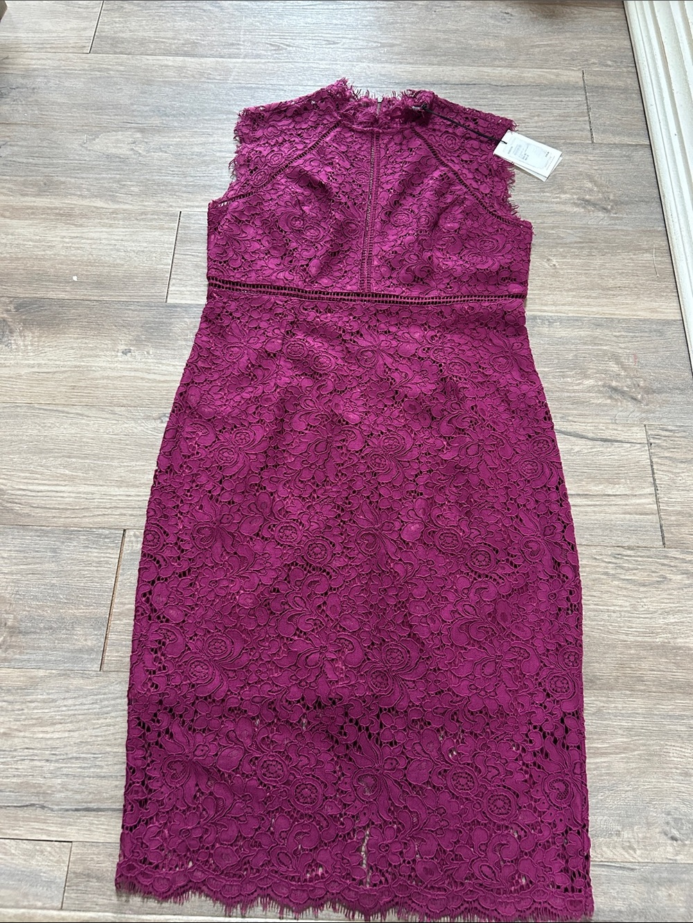 Bardot Plum Lace Sheath Dress
